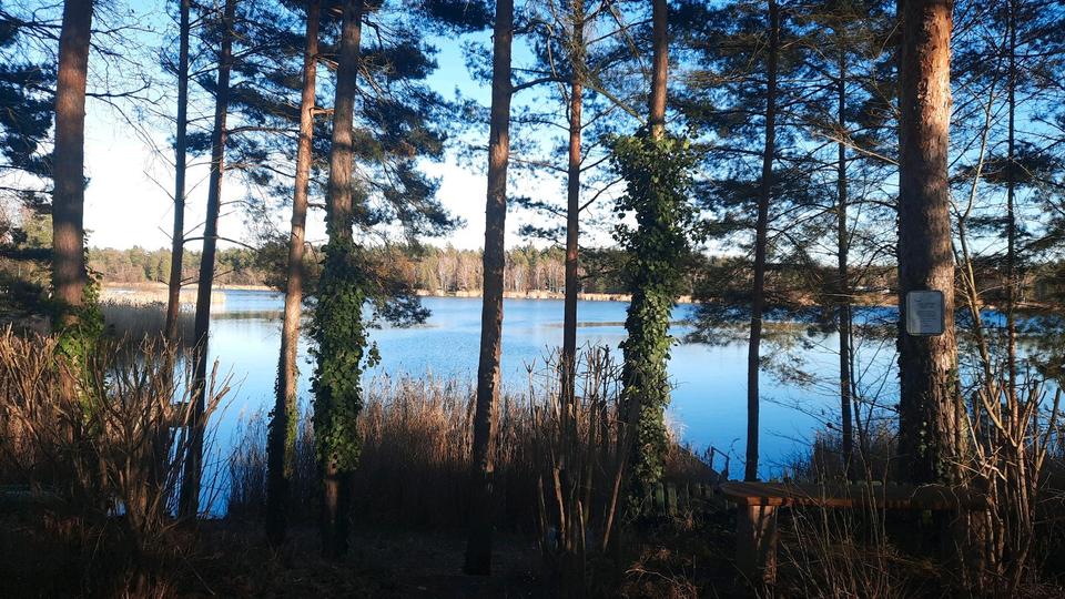 Thumbnail-Wochenendgrundstück 750 qm in Möhlau am Möhlauer See zu verkaufen