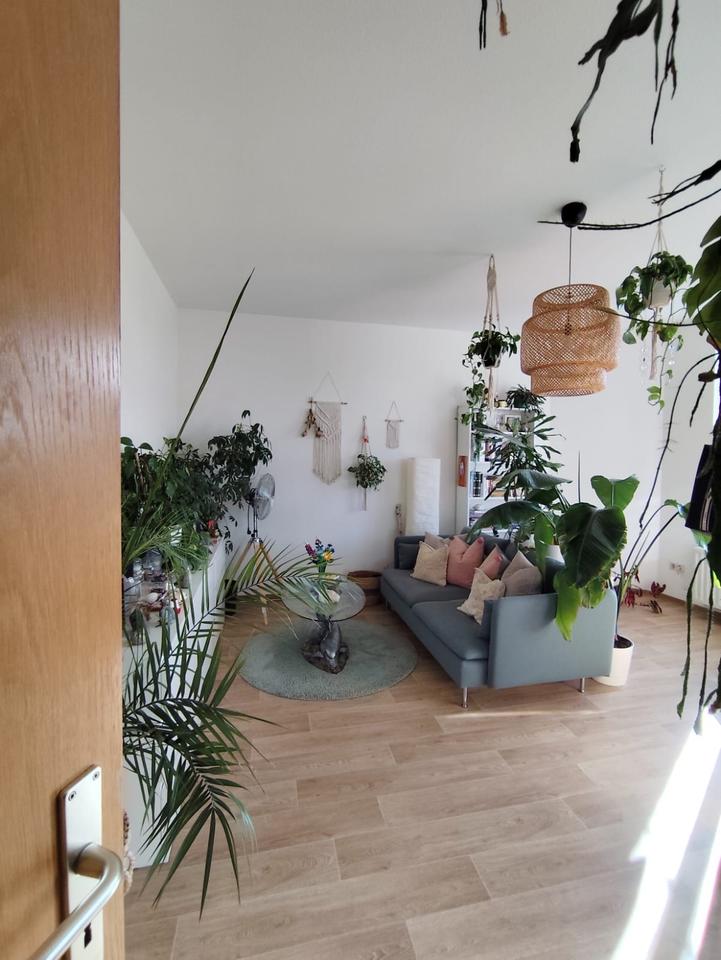 Thumbnail-FFO Nachmieter für teilmöblierte 1-Raumwohnung 446€ warm 47qm