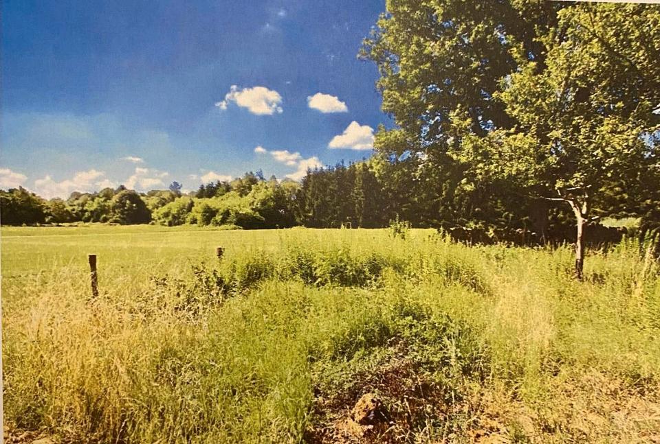 Thumbnail-Kleiner Bauernhof, Weitblick, Pferdeparadies, Selbstversorger