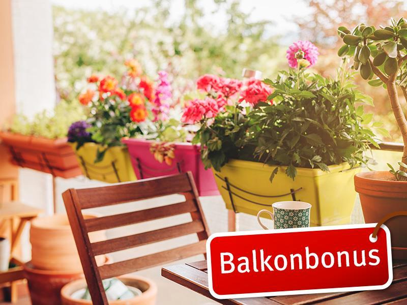 Thumbnail-Oben wohnen mit toller Aussicht