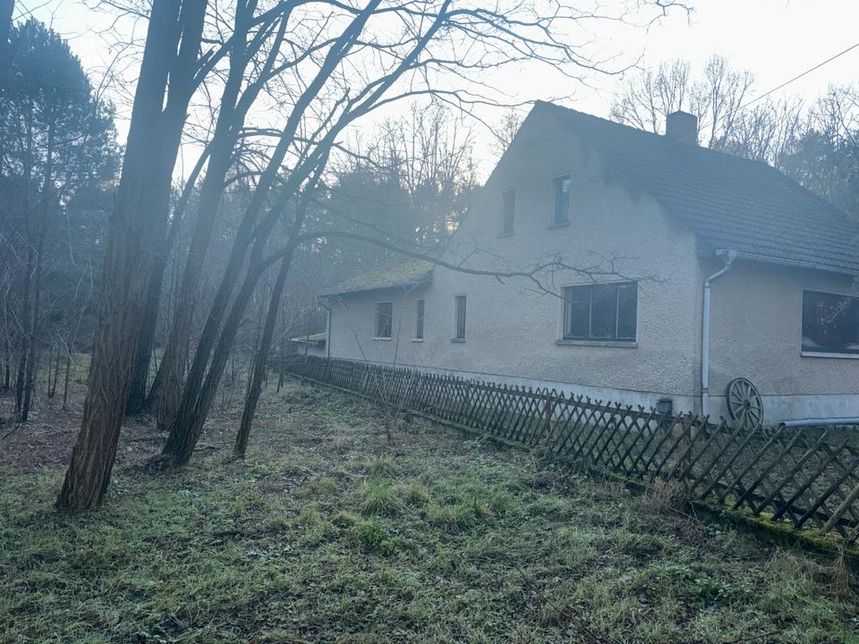 Thumbnail-Haus im Wald zu verkaufen – Paradies für Naturliebhaber