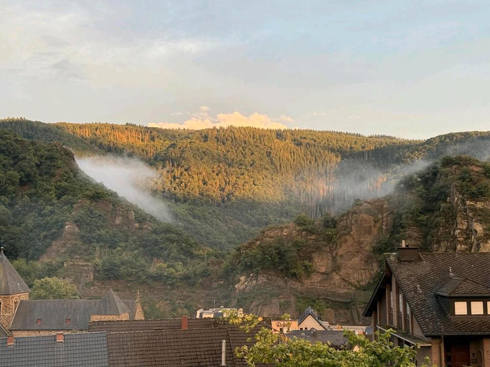 Thumbnail-Mietwohnung in Altenahr