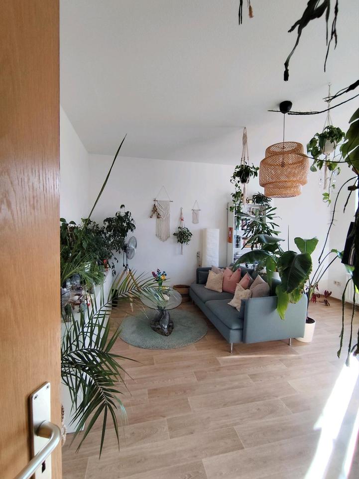 Thumbnail-Nachmieter für teilmöblierte 1-Raumwohnung