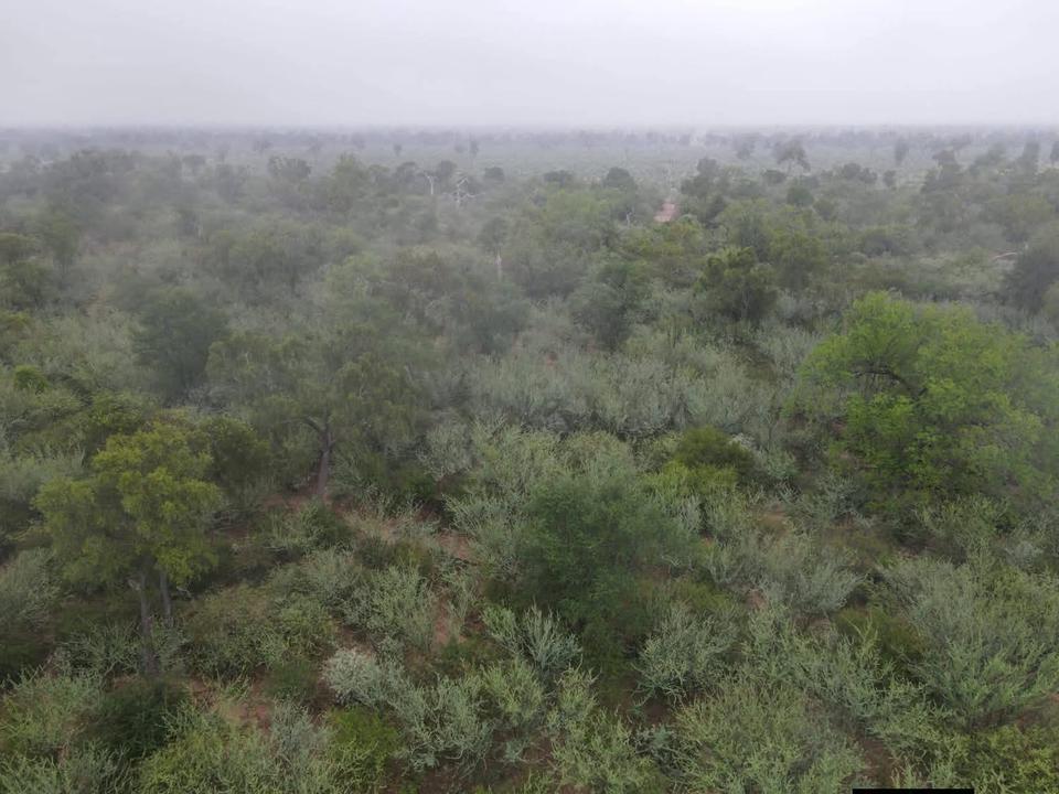 Thumbnail-Fokus auf Investment & Zukunft 5000 ha in Paraguay