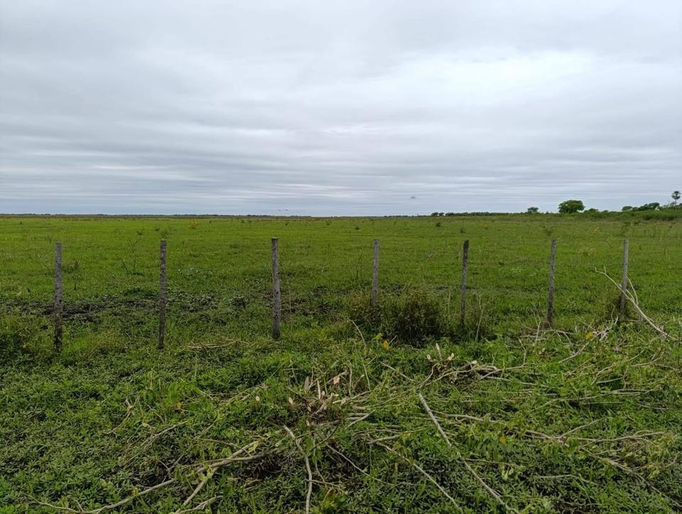 Thumbnail-Investment-Chance: 3.800 ha in Paraguay