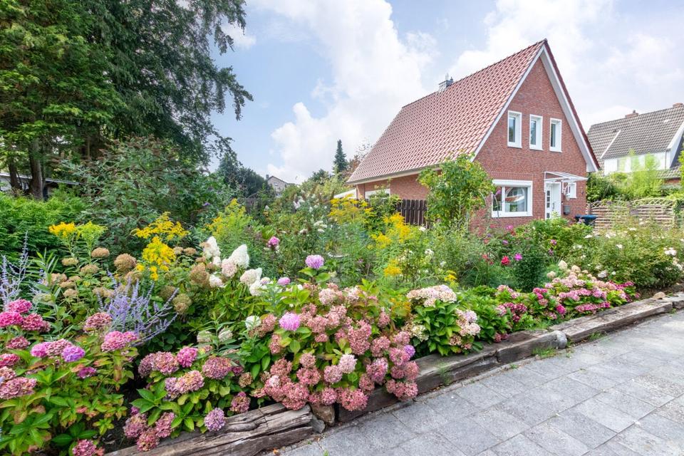 Thumbnail-Haus zur Miete in LeerLoga