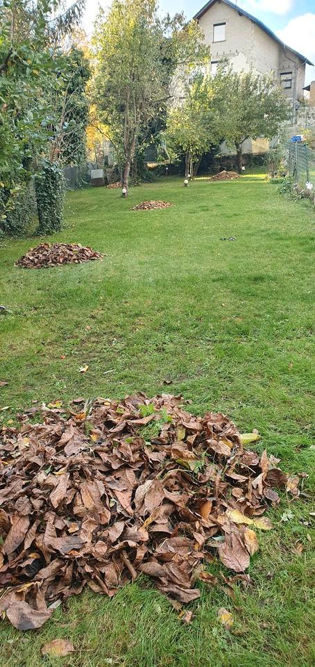 Thumbnail-Haus Miesenheim