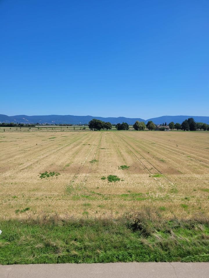 Thumbnail-3 ZKBB-Wohnung in Feldrandlage in Friedrichsfeld