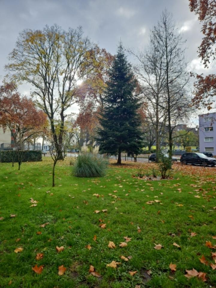 Thumbnail-Gemütliche 2-Zi Wohnung in Duisburg-Neumühl