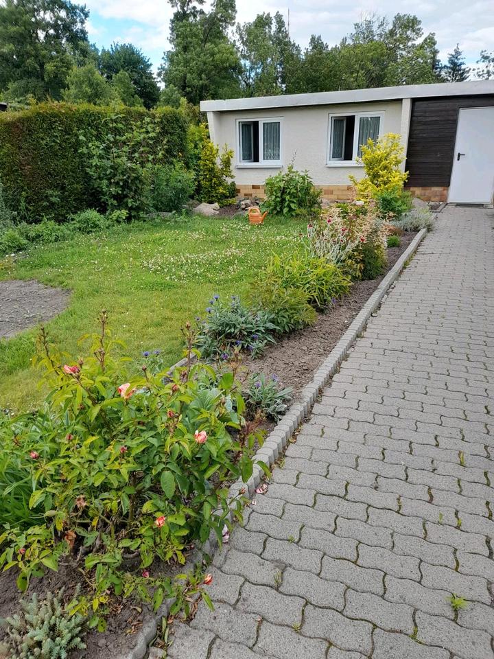 Thumbnail-Kleingarten in Stötteritz 300m2