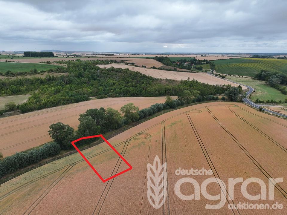 Thumbnail-Kompakte Ackerfläche für Jedermann bei Halle (Saale) - ca. 1330 m²