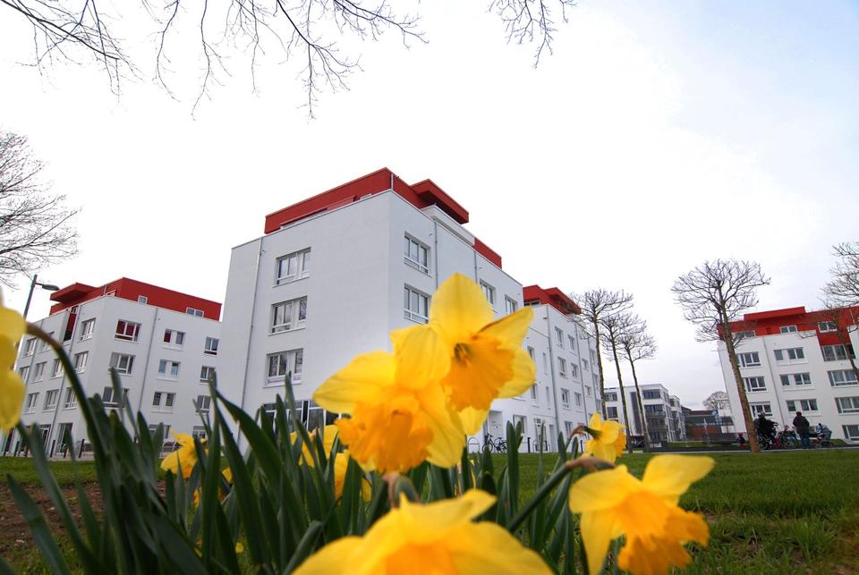 Thumbnail-Penthousewohnung im Windausweg