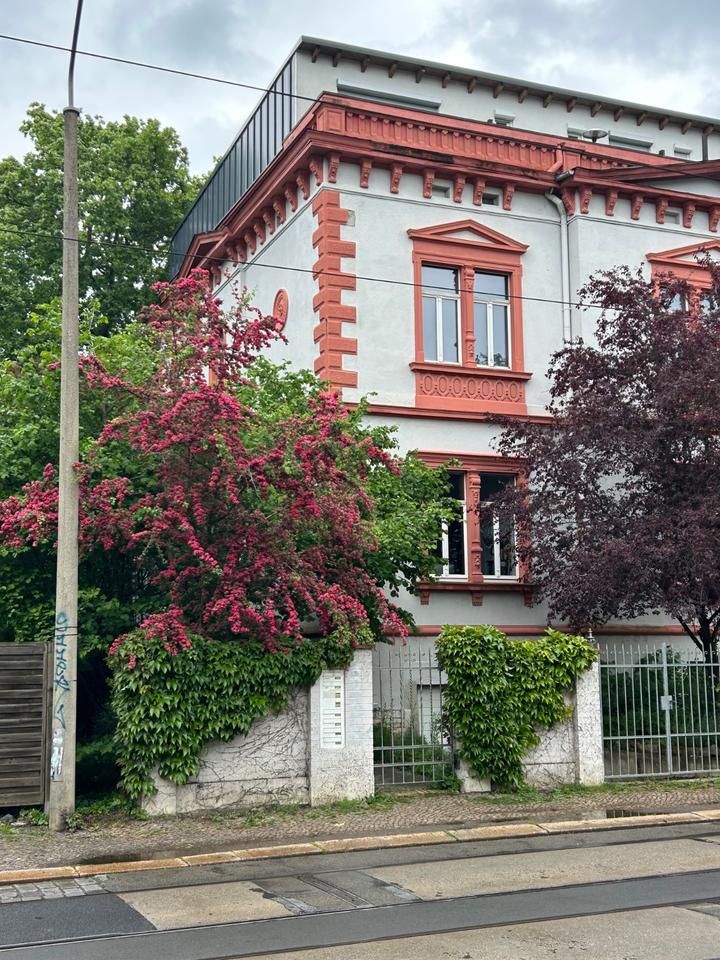 Thumbnail-Charmante Altbauwohnung mit Garten in Leipzig-Leutzsch
