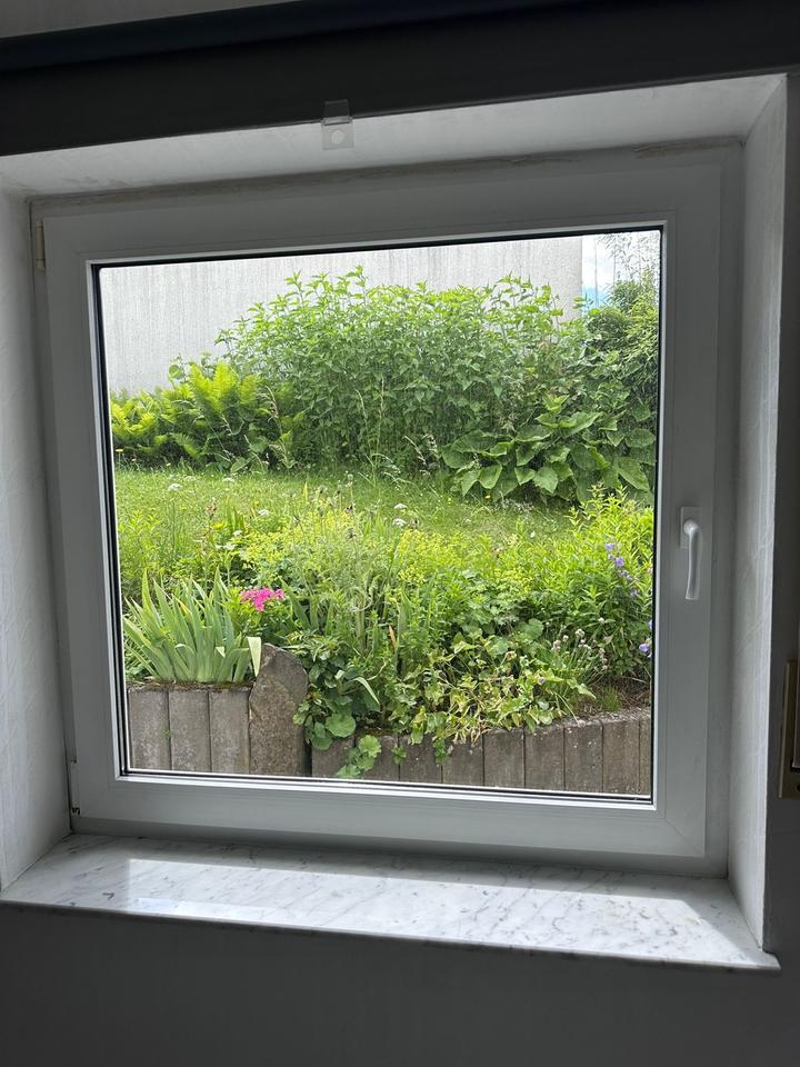 Thumbnail-Wohnung in 57629 Wied zu vermieten