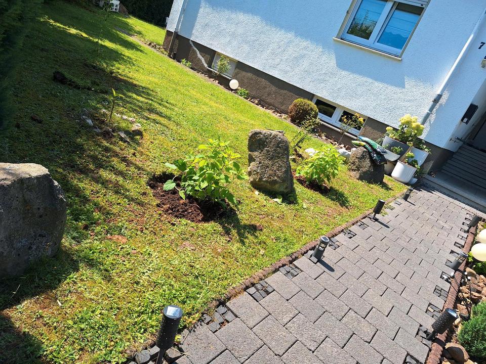 Thumbnail-Haus Keine Maklerprovision