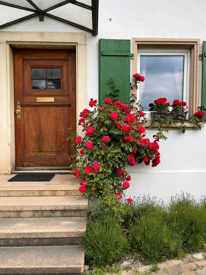 Thumbnail-zimmer auf Zeit