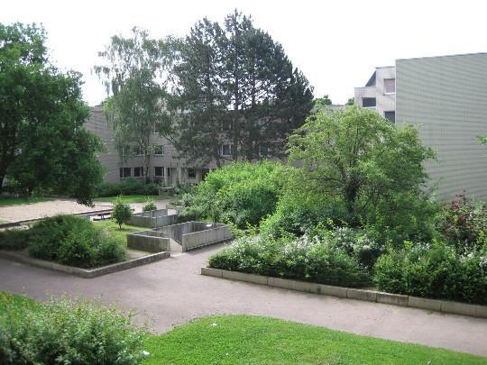 Thumbnail-Großzügige Wohnung im Herzen von Bonn-Tannenbusch – frisch saniert und ideal für Familien oder WGs