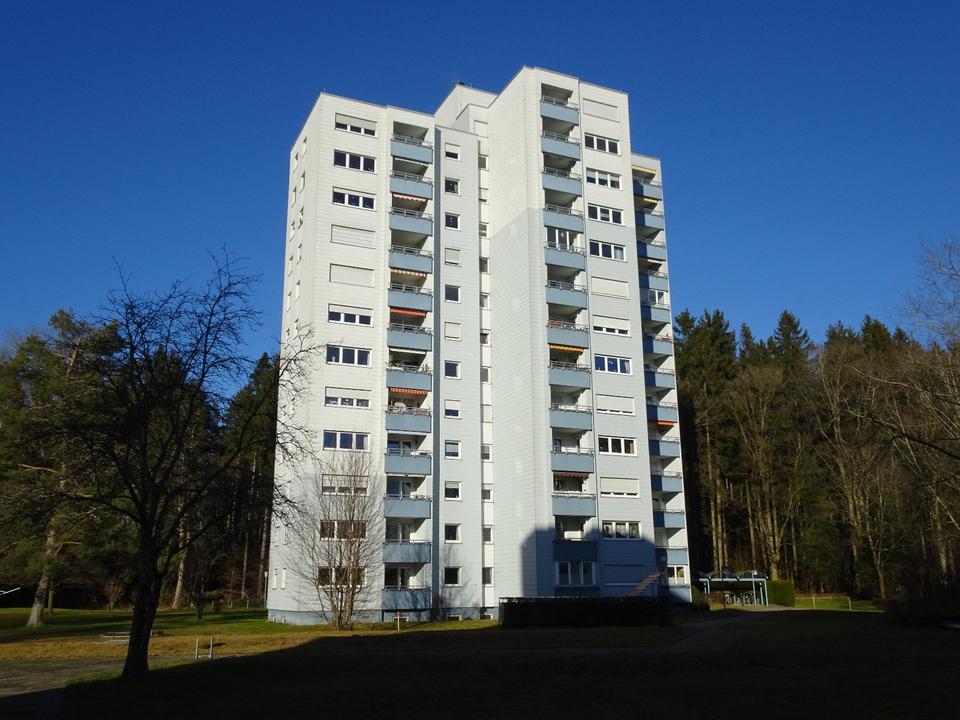 Thumbnail-4-Zi.-Wohnung mit Balkon und Bergblick in Wangen-Waltersbühl