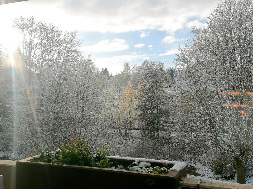 Thumbnail-Schöne & helle 2-Z.-Wohnung mit Blick ins Grüne + Stellplatz