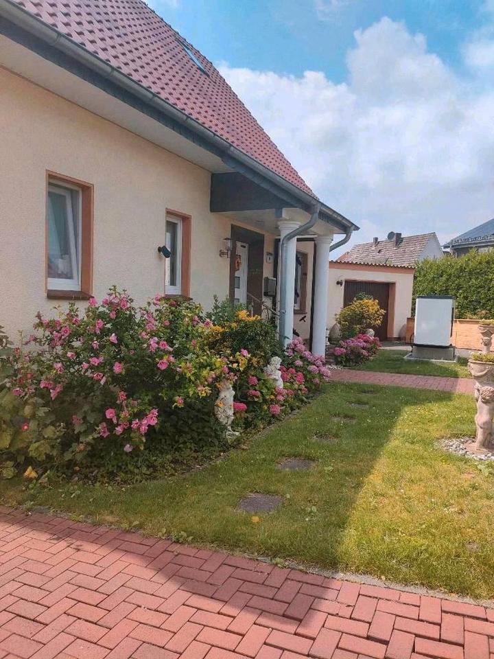 Thumbnail-Einfamilienhaus