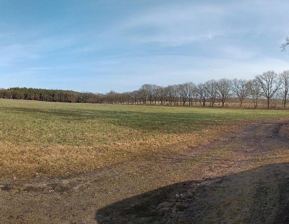 Thumbnail-Traum vom Pferd am Haus, Einfamilienhaus