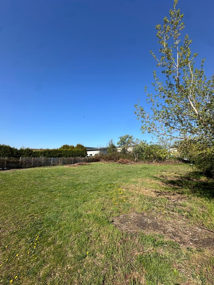 Thumbnail-Freifläche Grünfläche ca. 850 m² nahe BER in Schönefeld-Großzie