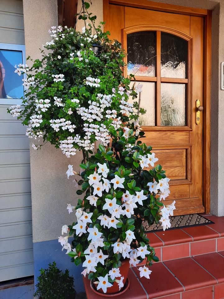 Thumbnail-Schöne 4-Zimmer Maisonette-Wohnung in Oberhaid (2 Balkone+Garage)