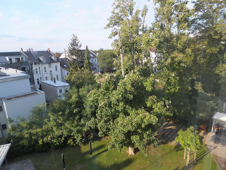 Thumbnail-Gepflegte ruhige 3-Zimmer-Wohnung im Martinsviertel von Privat