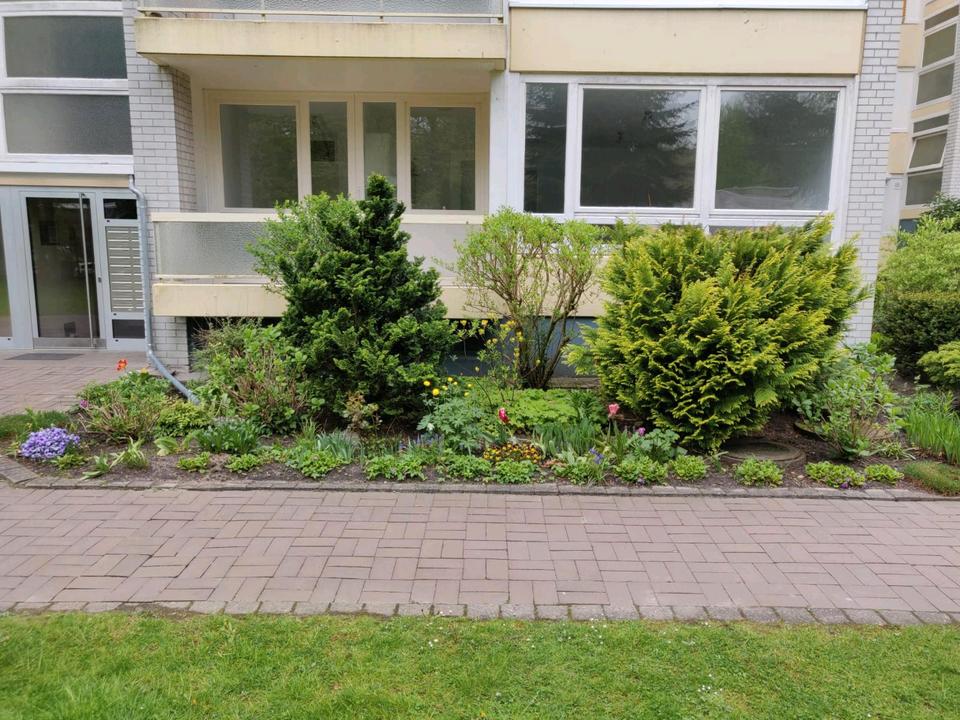 Thumbnail-1,5 Zimmer Wohnung in Reinbek zu vermieten ab 01.03.2026