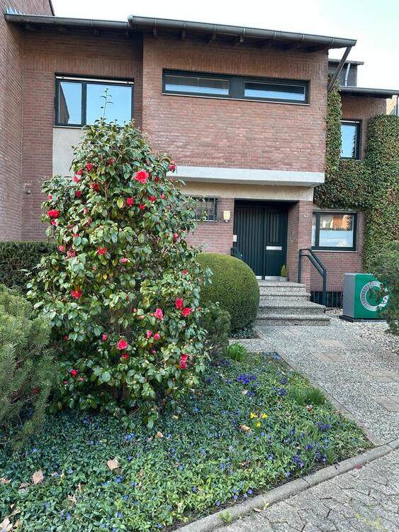 Thumbnail-KR-Fischeln: Großzügiges Reihenmittelhaus in ruhiger Lage!