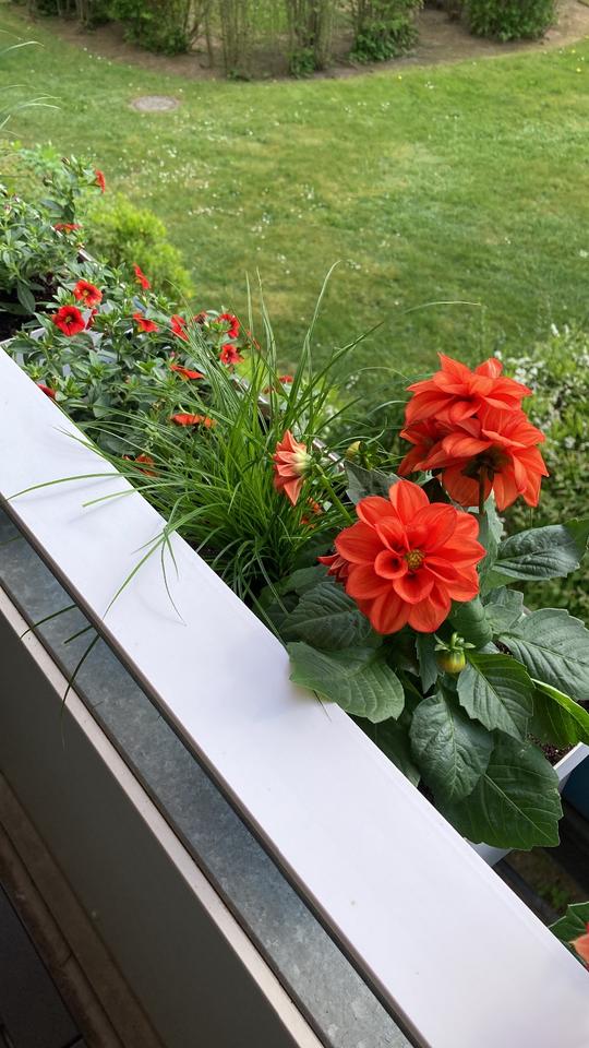 Thumbnail-Exklusive möblierte Wohnung Nähe Lübeck