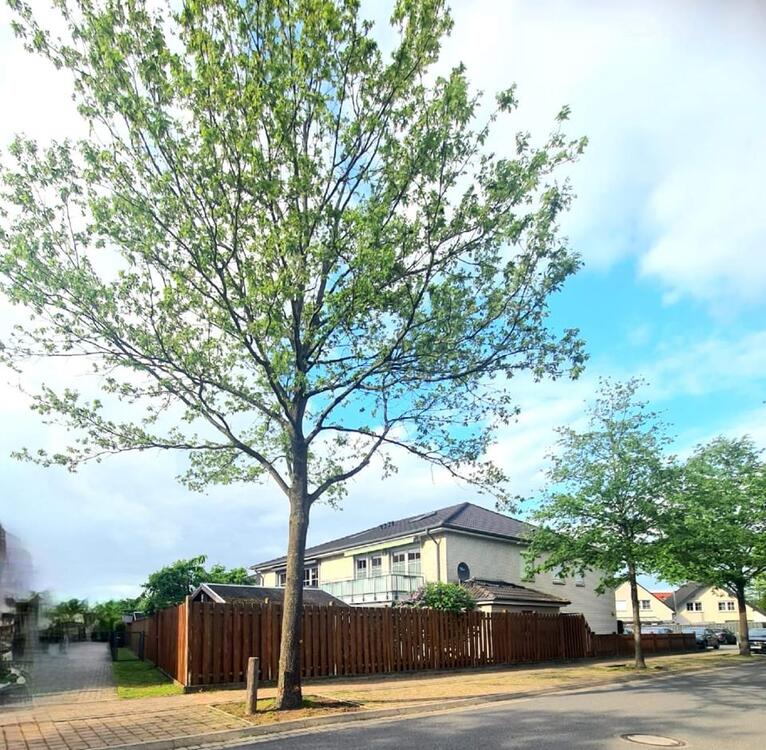 Thumbnail-Wohnung zu vermieten