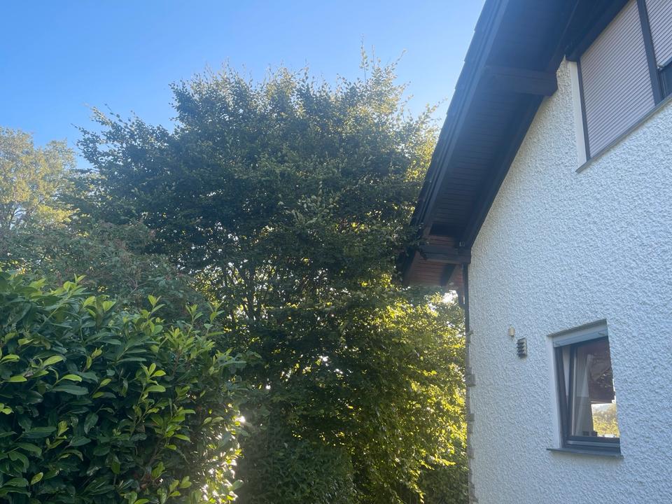 Thumbnail-Hochwertige Wohnung mit XXL Garten zur alleinigen Nutzung