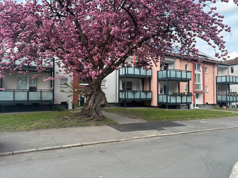 Thumbnail-Lust auf Veränderung? Schöne 3-Zimmer-Stadtwohnung