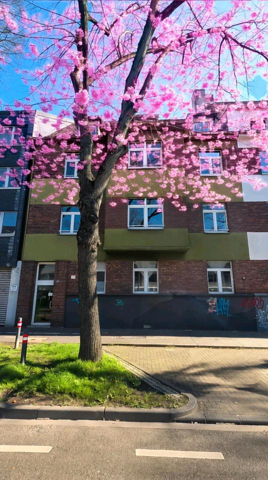 Thumbnail-sehr gepflegte Wohnung in Köln Poll provisionsfrei zu verkaufen