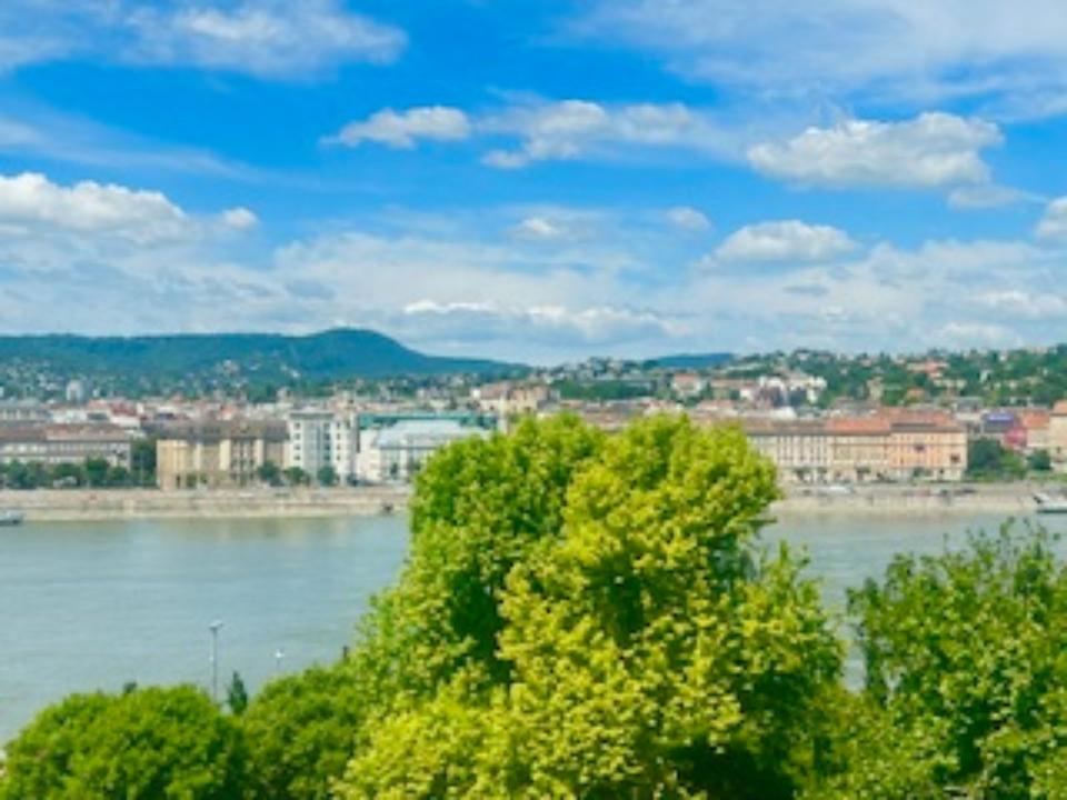 Thumbnail-EXKLUSIVE LUXUSWOHNUNG MIT DONAUPANORAMA – BUDAPEST