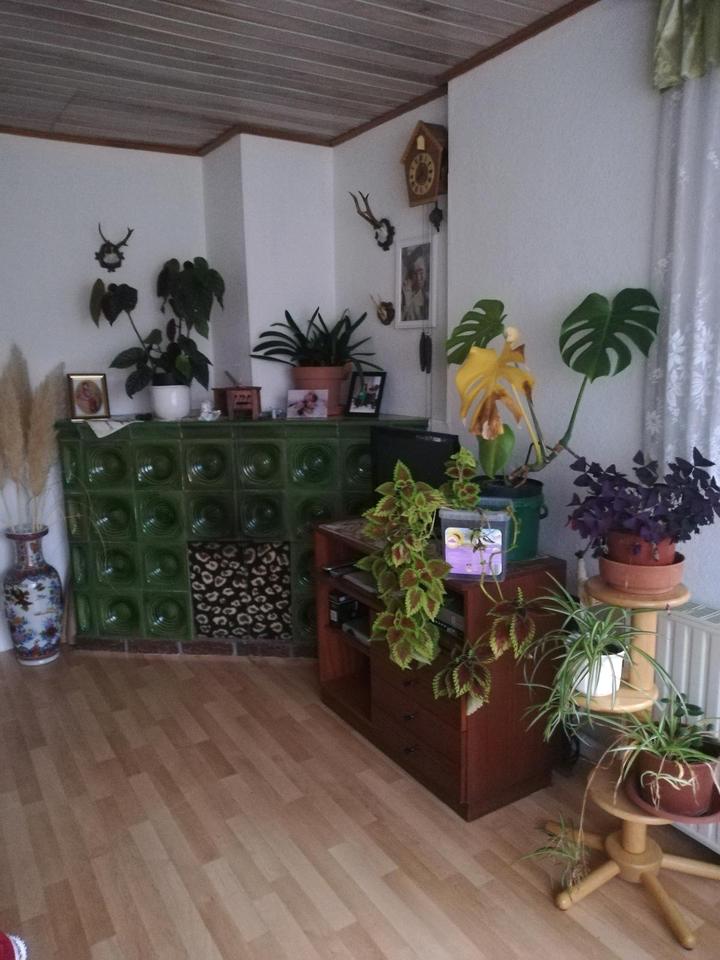 Thumbnail-Wohnung mit Garten