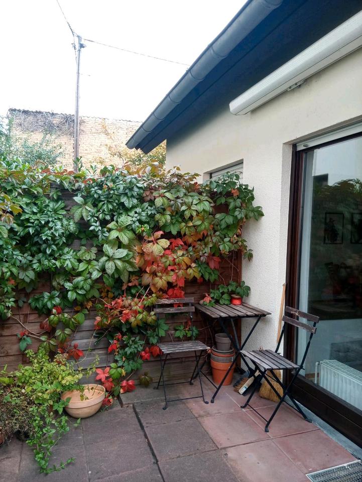 Thumbnail-Kleines Haus, grosse Terasse, ca. 70qm, Wiesbad. Vorort Igstadt