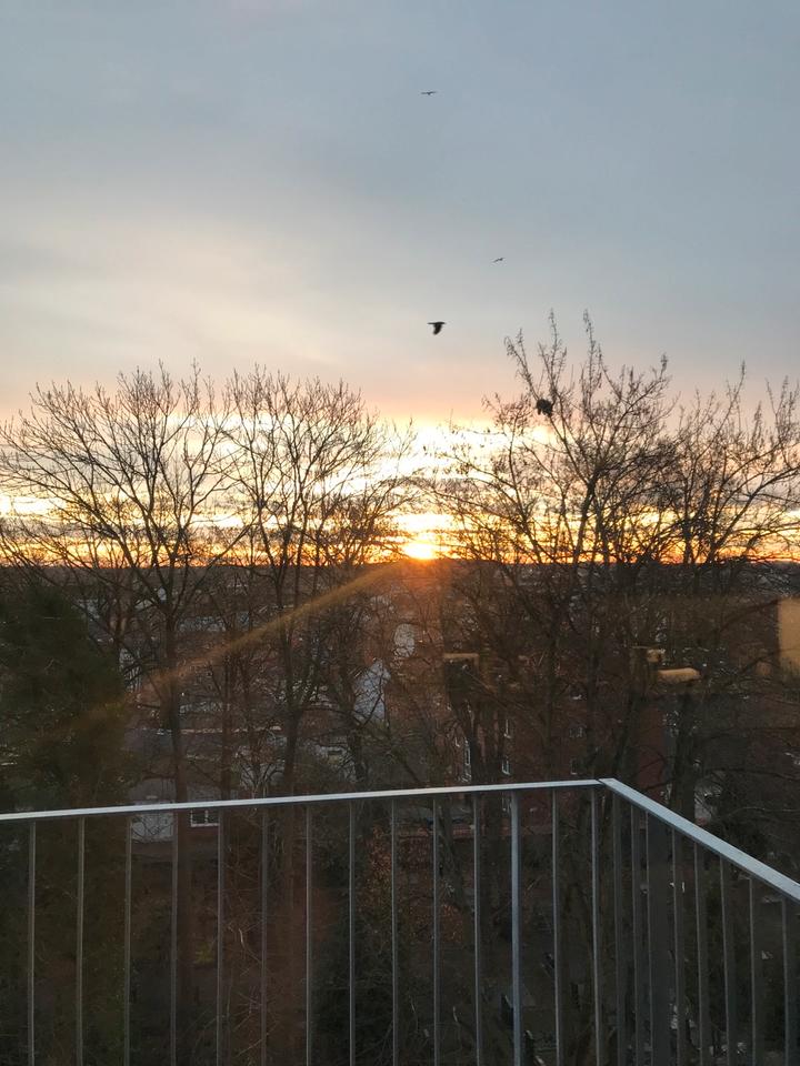 Thumbnail-Wohnung Neubau