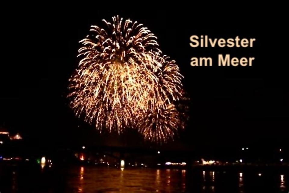 Thumbnail-Weihnachten Silvester Ferienwohnungen mit Hund Ostsee Wendtorf