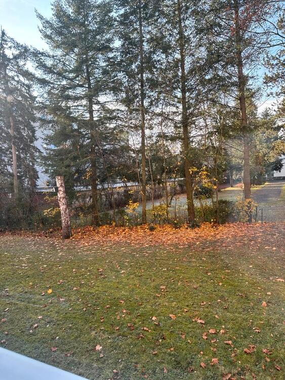 Thumbnail-Sanierungsbedürfiges Reihenhaus in Elterdorf - Volckamerstrasse