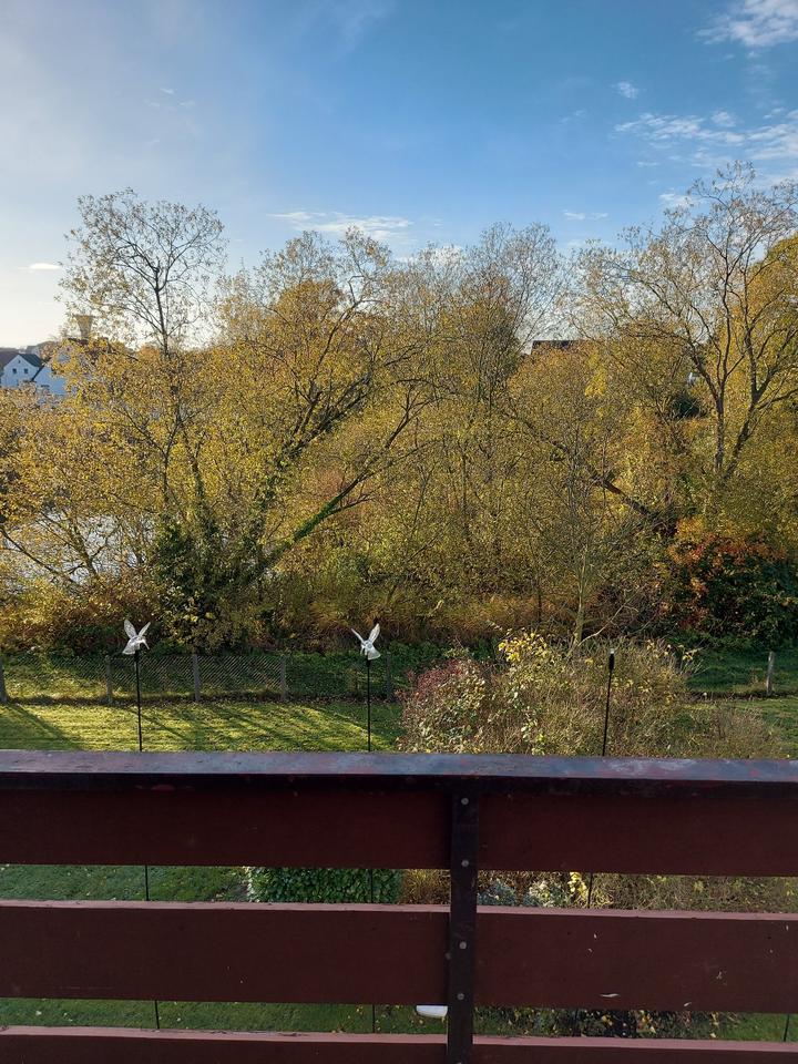 Thumbnail-3-Zimmer-Wohnung im II. OG mit Loggia zu vermieten