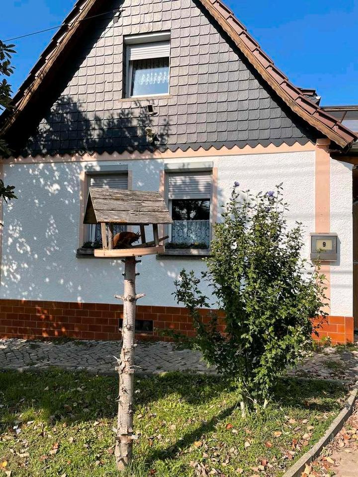 Thumbnail-Einfamilienhaus in Schackstedt