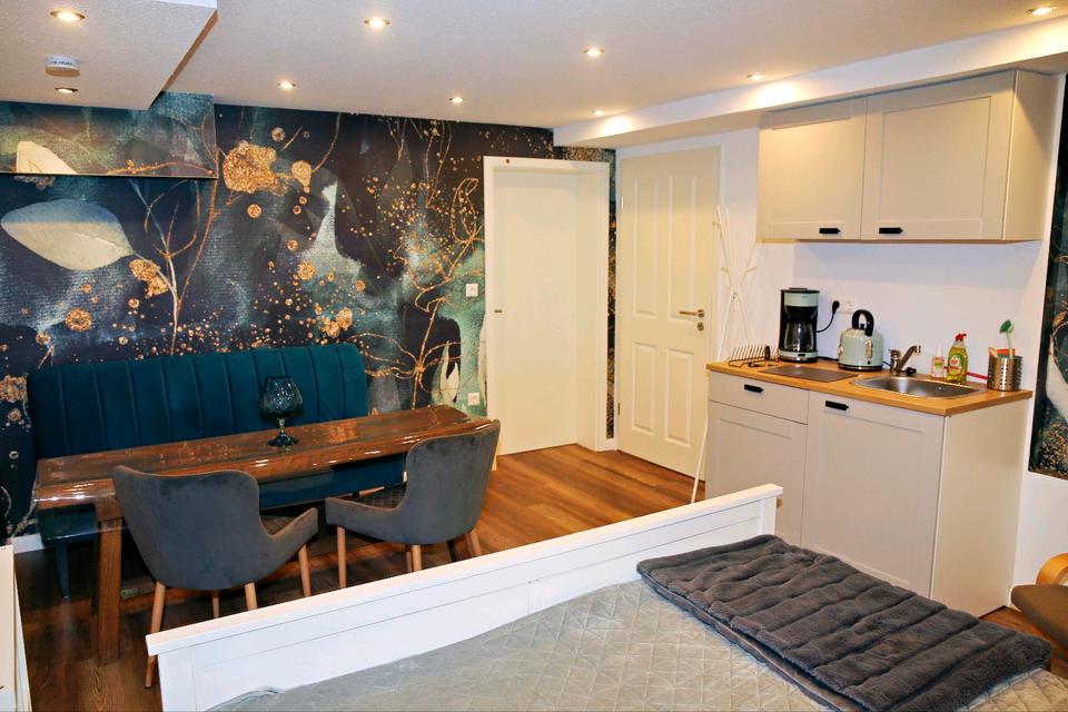 Thumbnail-Appartement zur Vermietung, Pantryküche, Kühlschrank etc.