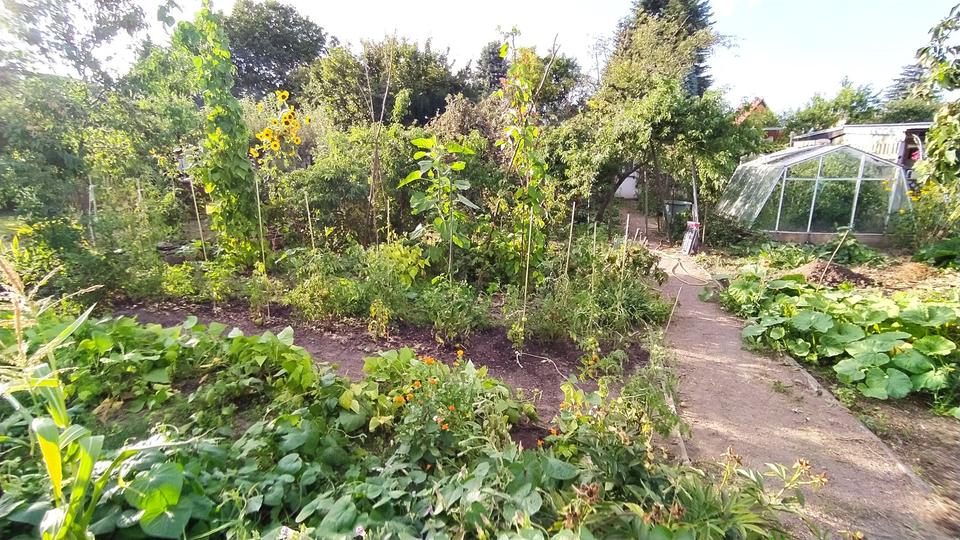 Thumbnail-Kleingarten in Dresden Omsewitz - Gorbitz