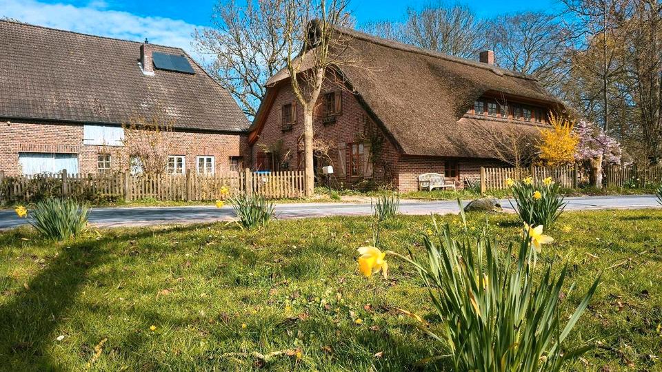 Thumbnail-Haus mit Reetdach von 1732