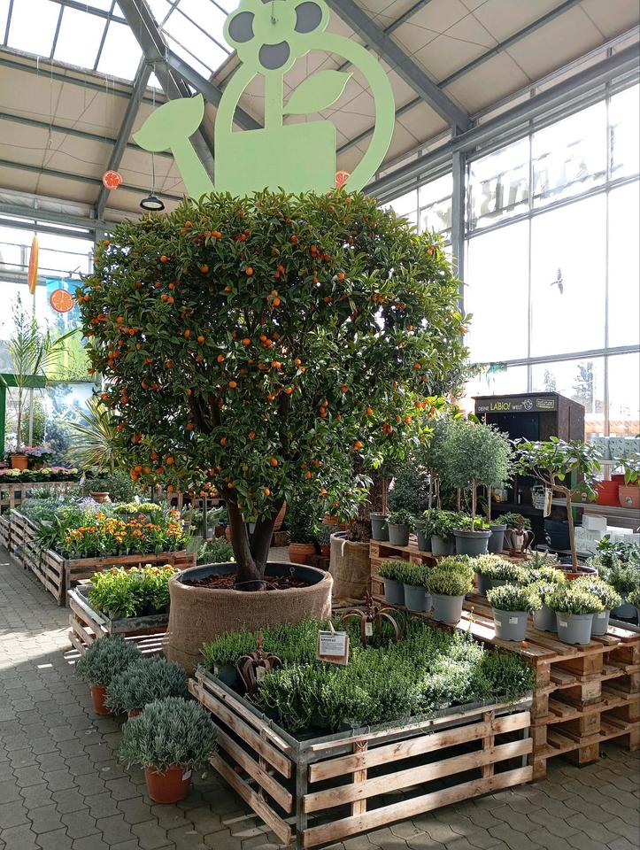 Thumbnail-Zimmer zur kurzfristigen und Übergangs Vermietung