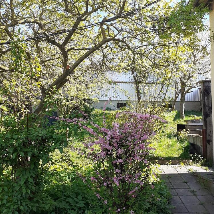 Thumbnail-Haus Einfamilienhaus mit Garten nahe Geiseltalsee