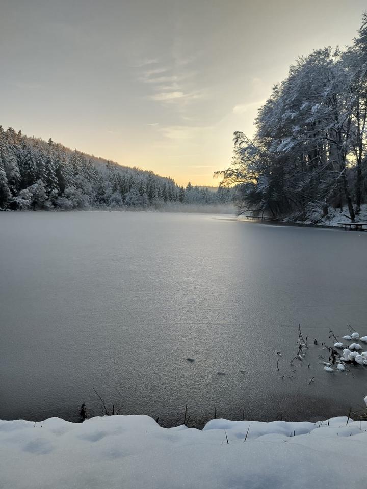 Thumbnail-Ferienwohnung Naturparadies Bayern Allgäu Bauernhof