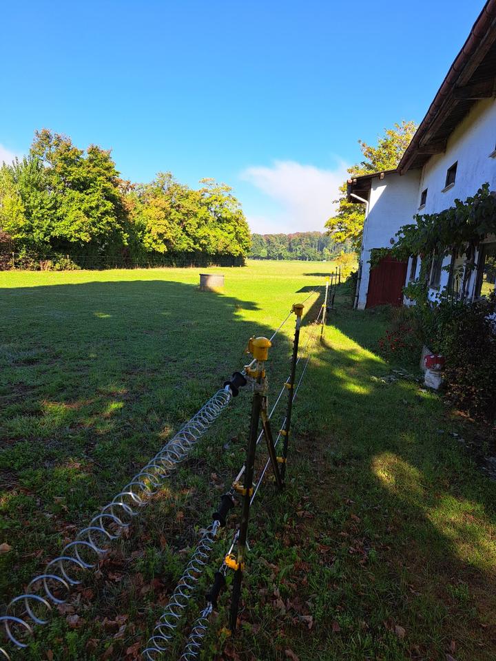 Thumbnail-Wohnen mit Tieren